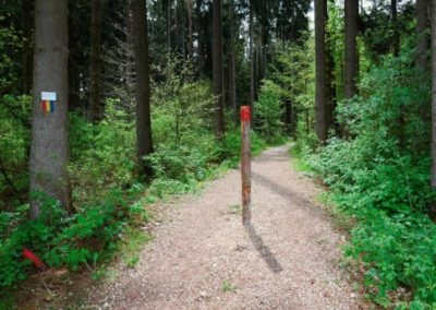 Bild Markierungspflock auf dem Wanderweg