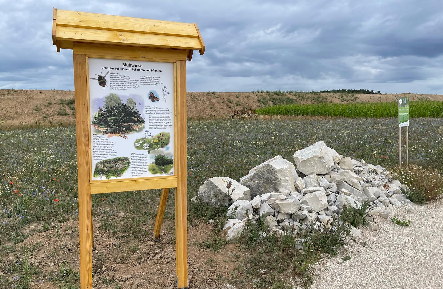 Zeigt Infotafel auf der Blühfläche