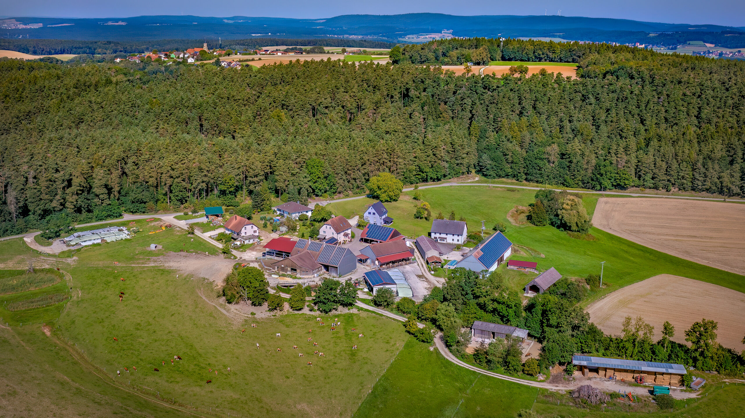 Zeigt Luftbild von Arling