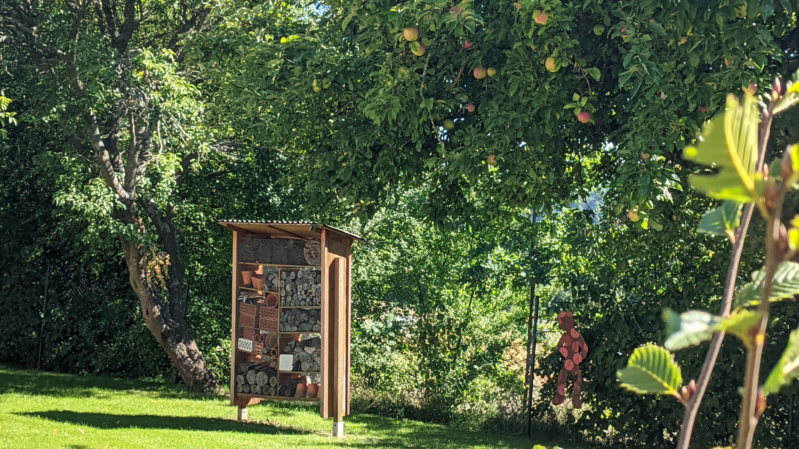 Zeigt das Bienenhotel an der Schule