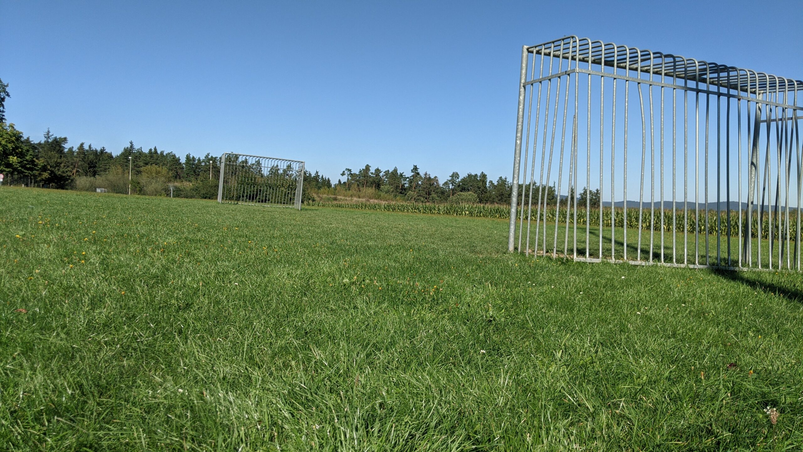 Zeigt zwei Fußballtore auf einer Wiese