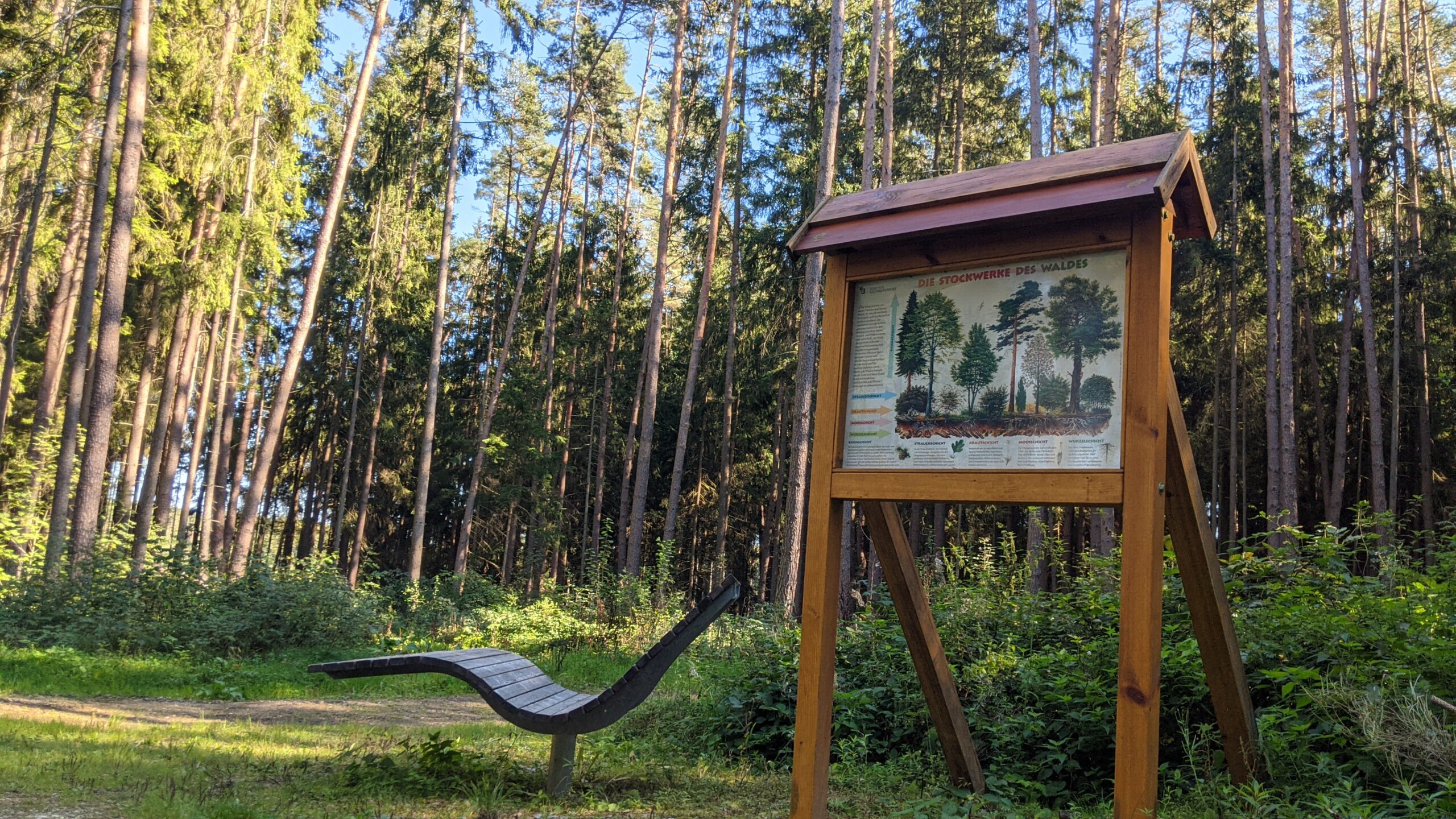 Zeigt eine Liege im Wald mit einer Tafel für das Quiz