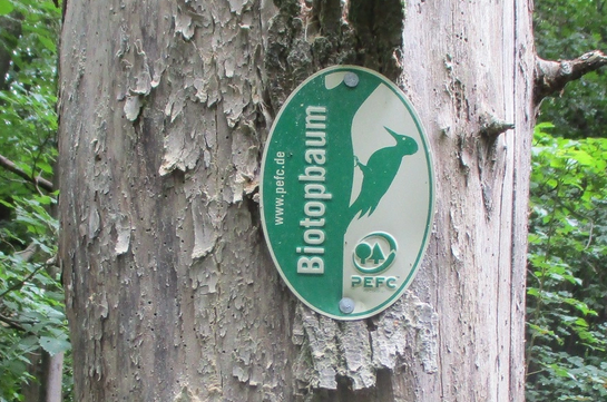 Zeigt ein Schild am Baum