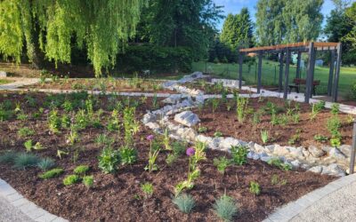 Einladung zur feierlichen Einweihung des Dorfweihers /Kräutergarten in Pittersberg am 15.06.2025 ab 10:30 Uhr