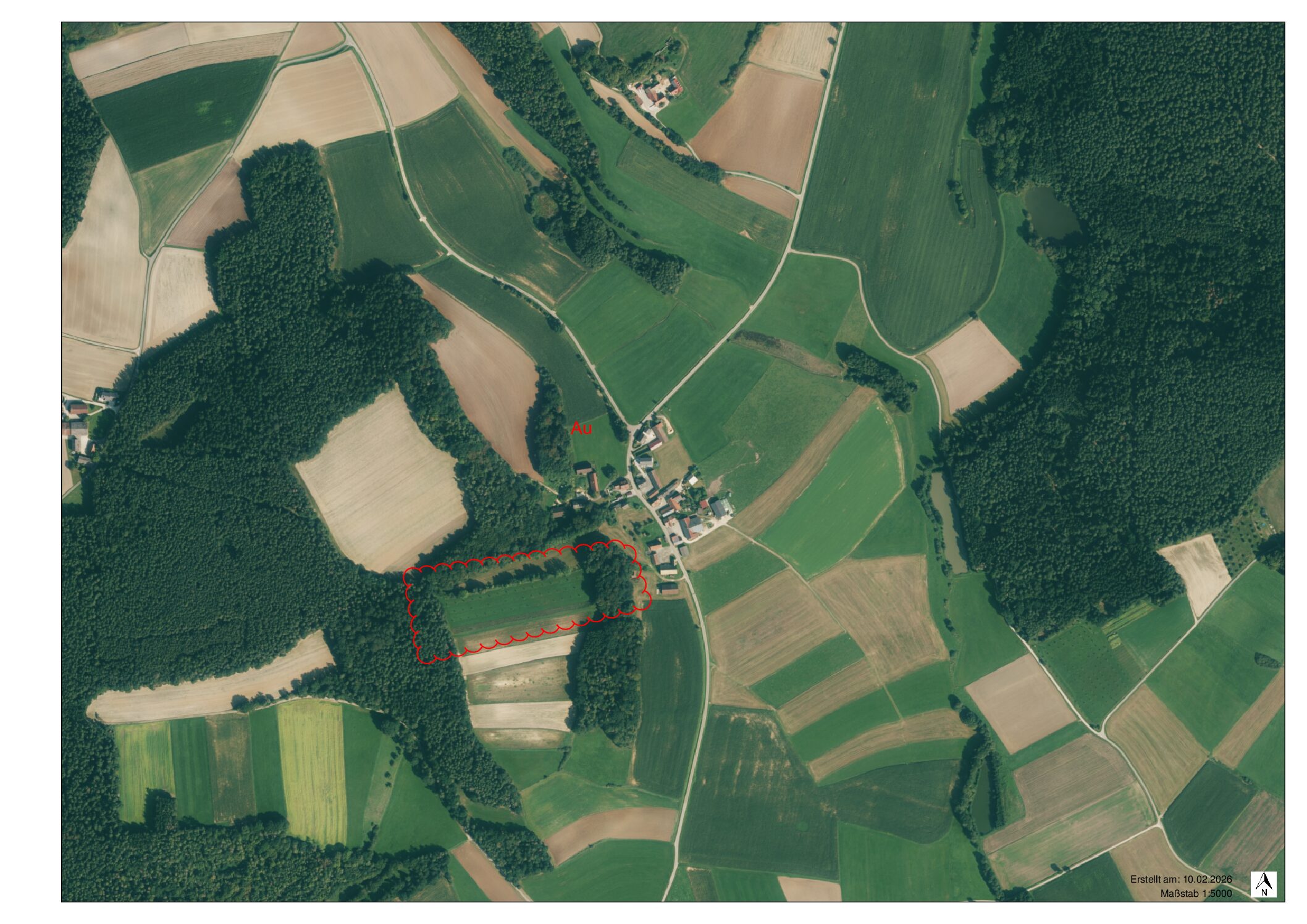 Au Zeigt neu gepflanzte Streuobstbäume