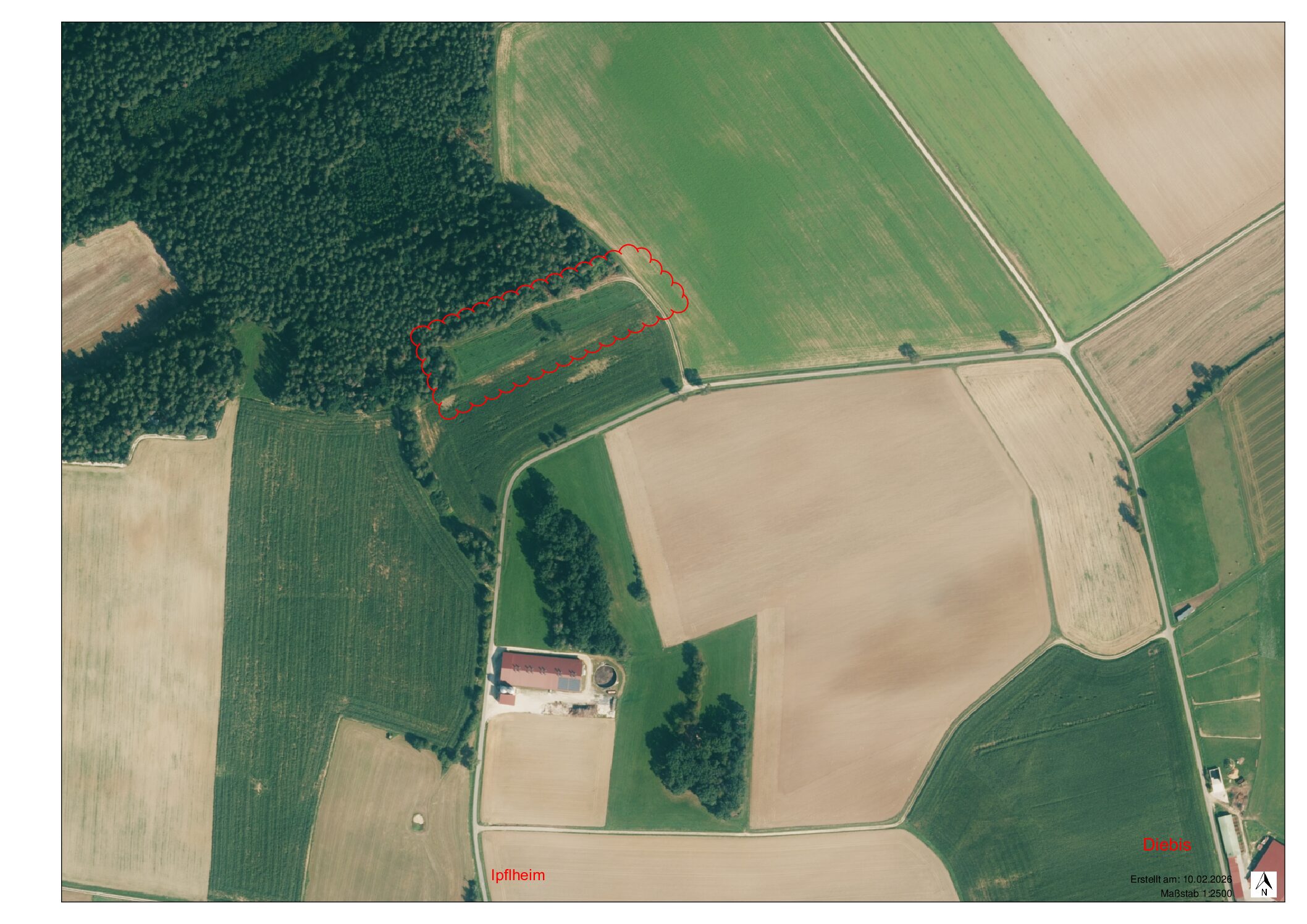 Ipflheim Zeigt neu gepflanzte Streuobstbäume